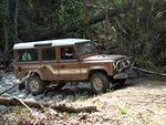 DSC03805.JPG