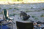 April May 08 009.jpg