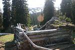 April May 08 033.jpg