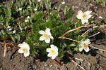 April May 08 035.jpg
