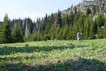 April May 08 036.jpg