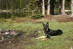 April May 08 040.jpg