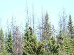 100_1085.jpg