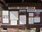 Day One Poison Spider