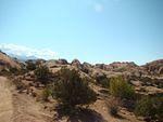DSC05376.JPG