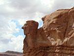 DSC05532.JPG