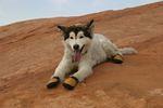Moab 2008 140.jpg