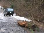 019 Tugging obstacles to clear the landslide.JPG