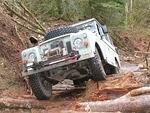 020 Slowly over the logs.JPG