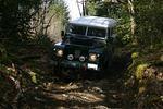 Hale Creek Spring 2009 009.jpg