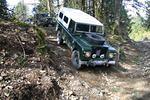 Hale Creek Spring 2009 010.jpg