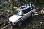 Hale Creek Spring 2009 015.jpg