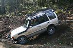 Hale Creek Spring 2009 016.jpg