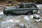 Hale Creek Spring 2009 063.jpg
