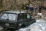 Hale Creek Spring 2009 065.jpg