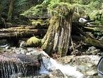 IMG_1012-04-09.jpg