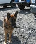 IMG_1026-4-09.jpg