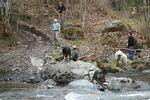 Bill Eastwood's Chilliwack Run April 2009 056.jpg