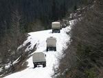 Whipsaw - May 2009 008.JPG