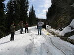 Whipsaw - May 2009 010.JPG