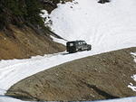 Whipsaw - May 2009 033.JPG