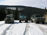 Whipsaw - May 2009 035.JPG