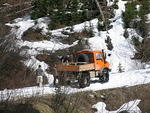 Whipsaw - May 2009 040.JPG