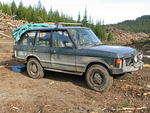 Whipsaw - May 2009 057.JPG