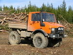Whipsaw - May 2009 060.JPG