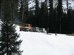 Whipsaw - May 2009 061.JPG