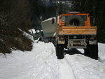 Whipsaw - May 2009 064.JPG