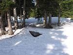 Lodestone picnic table