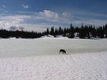 Odoul out on the lake