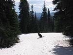 Whipsaw trail at top of switchbacks