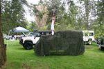 ABFM 2009 026.jpg