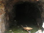 Whipsaw Trail in July 2009 145.JPG
