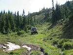 012-Less trees and more meadow near the top.JPG