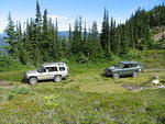 013-Nice spot for a log home!.JPG