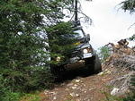 022-pushing through the trees.JPG