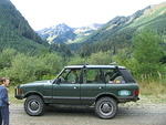017 All green ....JPG