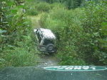022 Lots of free pin-striping on this trail....JPG