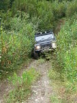 024 ...and up the bank.JPG