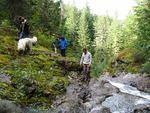044 Exploring the waterfall.JPG
