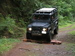 050 Logs in the ditch...JPG