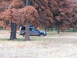 011 Lunch stop in the meadows.JPG