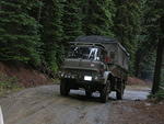 Whipsaw Oct 2009 012.JPG