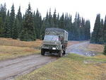 Whipsaw Oct 2009 020.JPG
