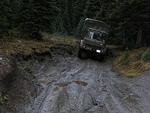 Whipsaw Oct 2009 029.JPG