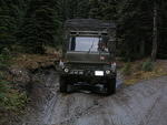 Whipsaw Oct 2009 030.JPG