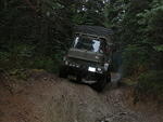 Whipsaw Oct 2009 038.JPG